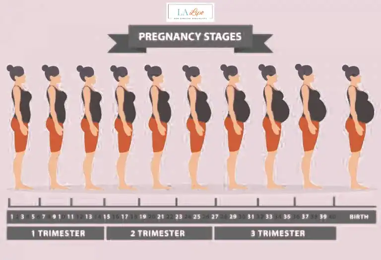 First Trimester (Weeks 1–12): Early Changes You Might Not Notice Leigh-on-Sea